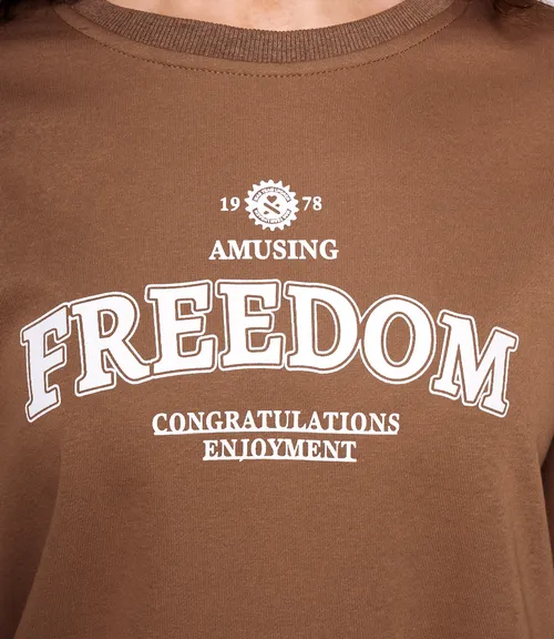 Свитшот #КТ9209 (1), коричневый