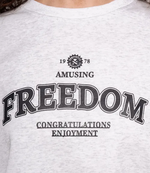 Свитшот #КТ9209 (1), светло-серый меланж