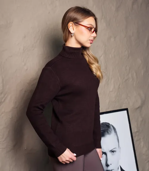 Водолазка #КТ881 (7), шоколадный 