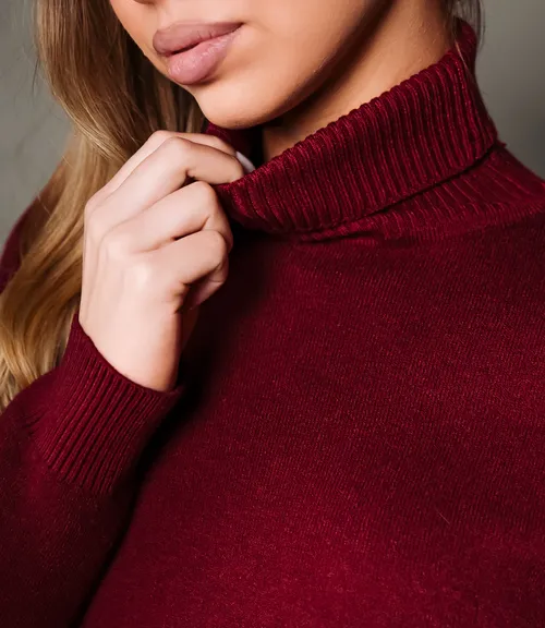 Водолазка #КТ881 (7), бордовый 